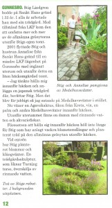 mormormorfar_LKF_0909